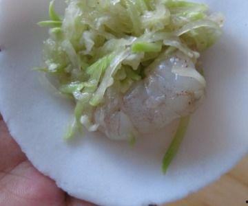 吃瓠子瓜排毒吗,天然排毒佳品，健康生活新选择