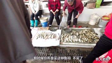 最新爆料农人老肥,揭秘农村致富新传奇