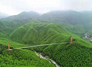 三青山网红,探寻网红打卡地的自然魅力与人文风情