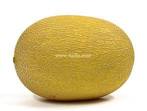 哈密瓜过敏可以吃网纹瓜吗,网纹瓜是否安全食用探索