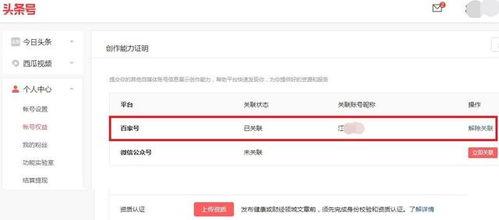个人头条号主要业务,探索多元化业务领域的创新与突破