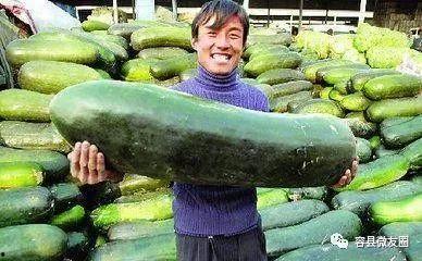 怎么回事吃瓜的人,网络围观背后的社会现象