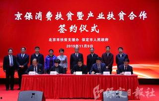 保定新发地今日头条,今日头条聚焦最新动态”