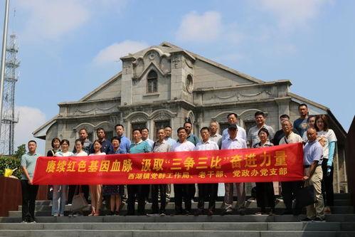 丰县西湖镇新闻头条,真相调查与后续进展揭晓