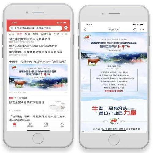平凉新闻今日头条号首页,聚焦今日热点，解码平凉发展新篇章