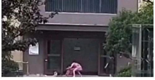 雄县滨河吃瓜事件始末,一场意外引发的舆论风暴