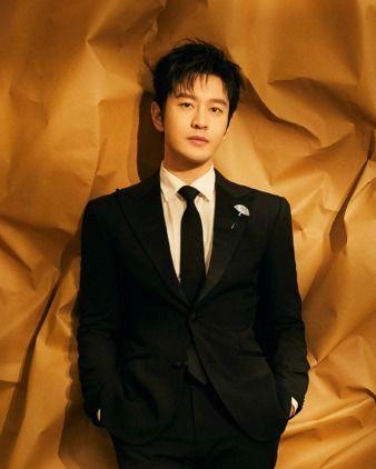 内地 男明星,璀璨星河中的璀璨星辰