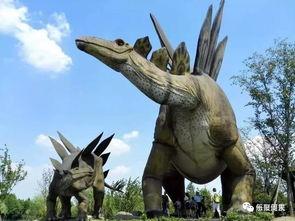 网红的那个恐龙步,揭秘网红新潮流