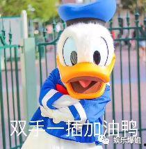 关于吃瓜的神剧,揭秘那些年我们一起吃过的神剧瓜