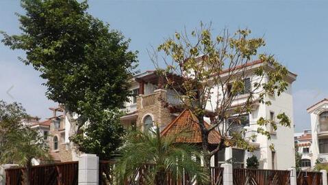 联兴花园事件爆料视频最新