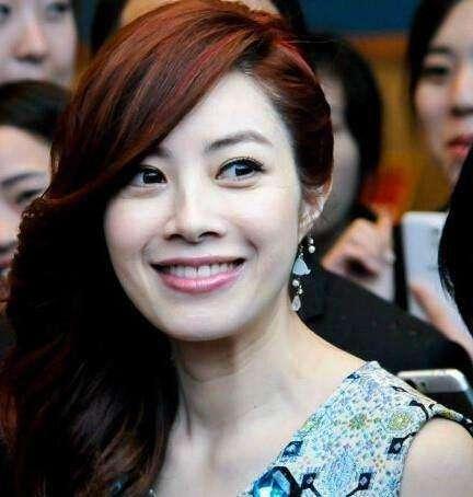 明星本,明星本生成背后的故事与魅力