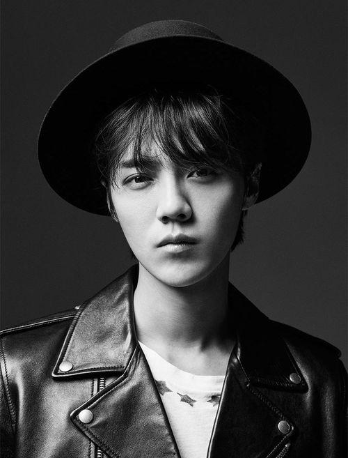 迅播明星,闪耀荧屏的璀璨星辰