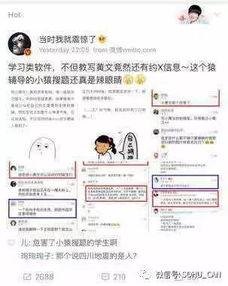 傻瓜吃瓜合集在线观看,笑料横生的欢乐盛宴