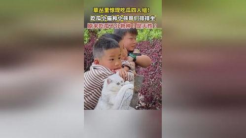 吃瓜4人组,揭秘吃瓜4人组的神秘魅力与欢乐时光