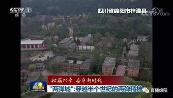 望月湖镇新闻头条,聚焦乡村振兴，共绘美好家园新画卷