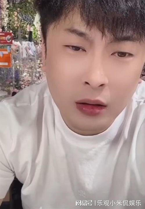 网红辛巴是哪里网红,崛起于东北的带货一哥