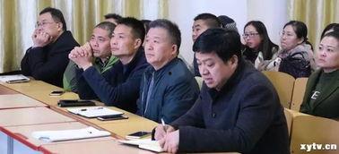 淮滨网友爆料新闻视频,惊现新闻视频，揭秘事件真相！